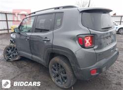 جيب رينيجيد